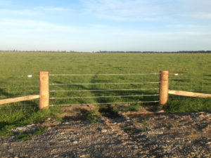 Rural Fence